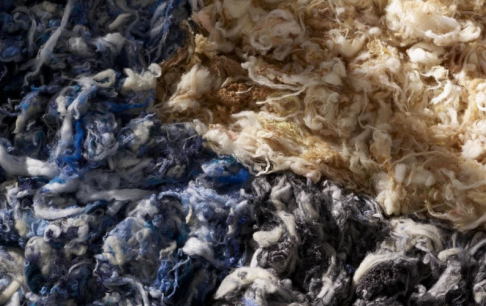 Re-wool