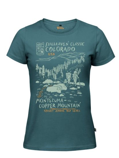Classic US T-Shirt W  Frost Green 